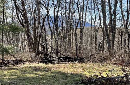 Crumpler Other | MOSS HOLLAR FARMHOUSE Secluded remodeled farmhouse minutes from The New River