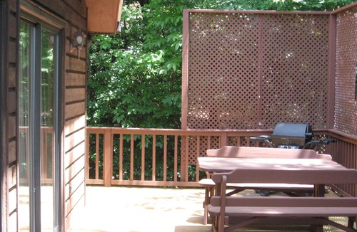 Cleveland Cabin | Mountain cabin/hot tub/fireplace/Game room/Pet Friendly/long term rental.