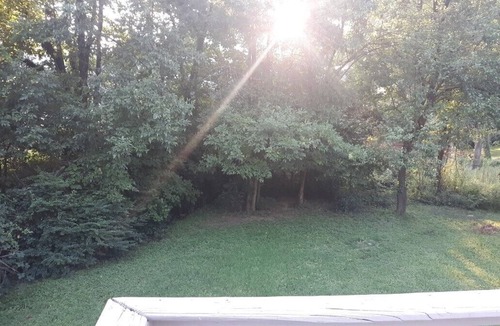 Villa Heights Cottage | NoDa cottage. Updated place in an amazing location. Walk to everything!