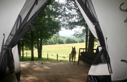 Dugspur House | Peaceful Safari Tent Rental in Floyd, Virginia