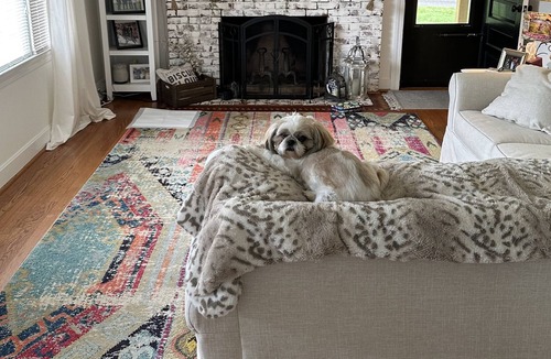 Ararat House | Pet friendly, Feel at home farmhouse with large deck. 15 minutes to downtown.