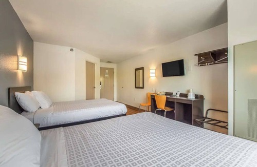 Knoxville Hotel | Pet-Friendly Room Ideal for Travel w/Furry Companions – Great Value