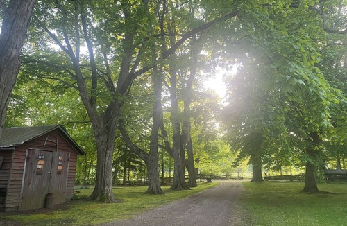 Bayham House | Private 5-Bedroom Forest Retreat Near Port Burwell Beach, Trails & Fire Pit