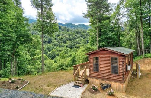 Warrensville House | Quaint Log Cabin w/Views Near West Jefferson