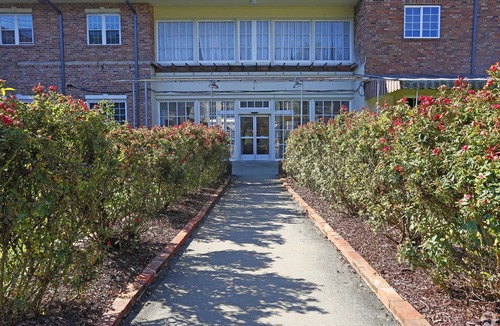 Sheffield Park Apartment | Quaint Mins to Atrium Health & Panthers Stadium perfect for your next getaway