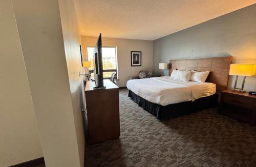 Sydney Hotel | Quality Inn & Suites