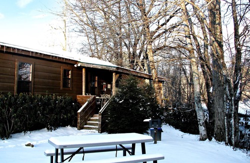 Altamont Cabin | Real Logs-1BR, queen bed & futon-sleeps 4. Riverside