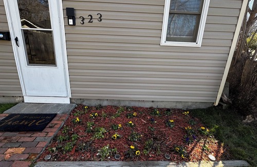 Rock Hill Cottage | RELAXING 1-BR COTTAGE in Charming Rock Hill. Great for Travelers