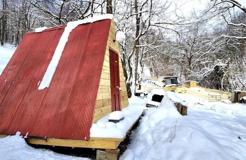 Coal Fork Cabin | Remote Mountain A-Frame with BBQ Perfect for Nature Lovers in West Virginia