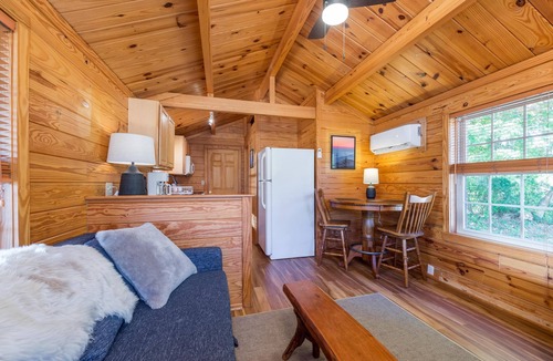 Arden Ski Chalet | Riverfront Vintage Cabin w/ Hot Tub, Full Kitchen