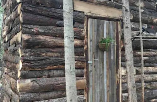 Markdale Cabin | Rustic Cabin Incredible for Hiking and Outdoor Lovers in Ontario
