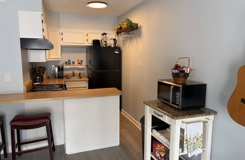 White Lake Condo | Serene 1-bedroom condo with lake access in White Lake
