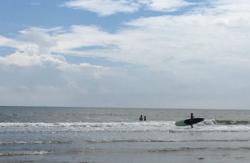 Isle of Palms Cottage | Short Walk to Beach- Close to Pier, Restaurants & Front Beach. Monthly Discounts