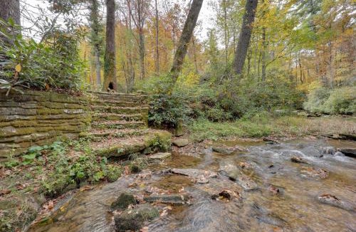 Newland House | Ski & Hike! Creekside Cabin 7 Mi to Linville Falls