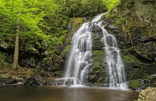 Black Bear Falls Ski Chalet | Smoky Mountain Escape 3BR3BA Cabin w Hot Tub, Game Room, & Resort Pool , WIFI, Resort Pool