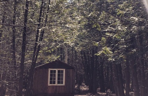 Arden Cabin | The Hideaway- Cozy forest escape with sauna and trails 10 minutes from Bull Lake