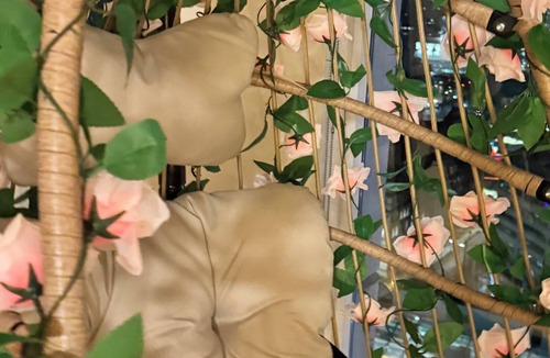 Downtown Toronto Condo | The Rosé Suite - In the Heart Of The City