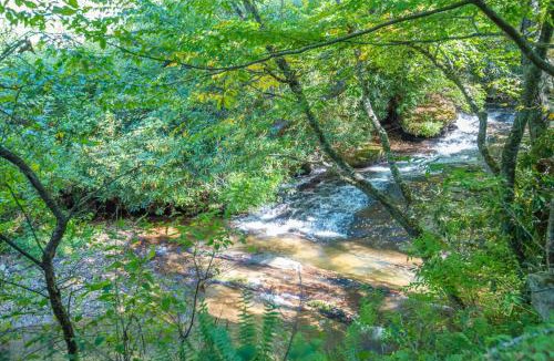Jefferson House | Tucked away in the woods - minutes to the New River - Acreage to explore!