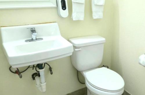 Williamston Hotel | Williamston Inn NC Near Greenville US 64