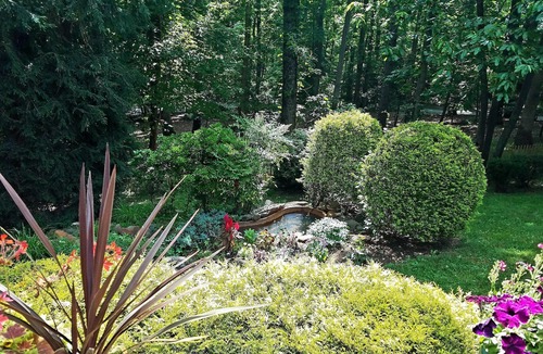 Avery Creek House | Wooded Oasis Minutes from Biltmore Park, I26 and the French Broad