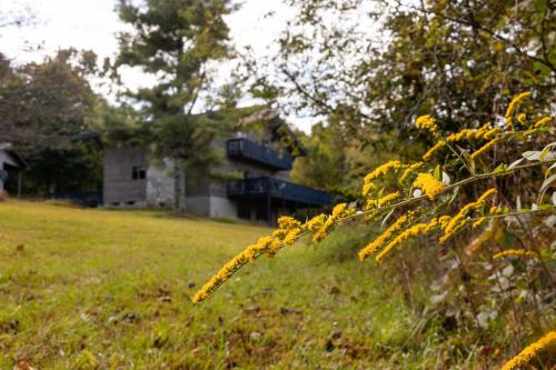 168 Secluded Acres Trails, Winery 5BR