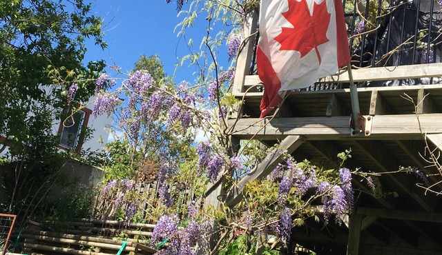 2-bedroom apartment in charming Bridgewater with WiFi, AC. Enjoy your stay