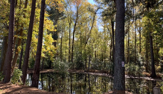 3BR King Bed Tranquility ❤️Pond & Screened Porch