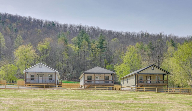 4 Mi to Nolichucky River Adventures! Mtn-View Home