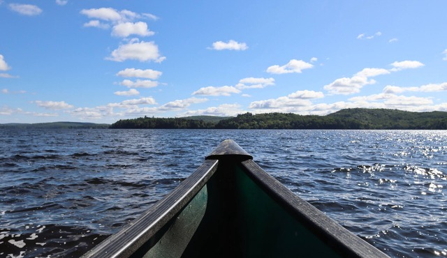 4-season, 4-bedroom, 2-bunkie family and pet-friendly cottage on Kamaniskeg Lake