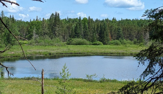 7- Forfait domaine privé de 50 acres en forêt au bord de la rivière rouge