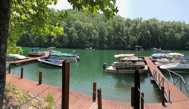 Affordable 3 Bed House Pet friendly! Close to Clemson! Boat slip included!