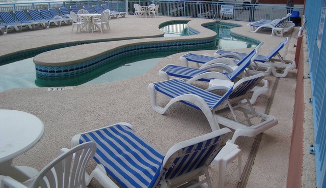 Beautiful, Oceanfront Free WiF. Come watch the dolphins swim by!
