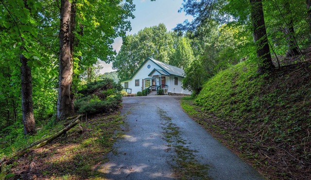 Bee Balm Cottage~Cozy Cottage~Pet-Friendly Retreat~3 Mins to Burnsville