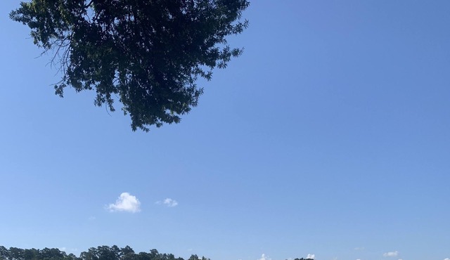 Big Water Views with Private Beach, Dock, Lake Toys and Fire Pit on two acres!