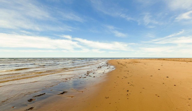 Blue Beach House - Walk to beach, AC, newly renovated, family approved!