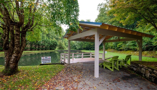 Brevard oasis, kid friendly, handicap accessible, private pond!