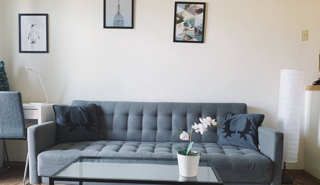 Bright 2 bedrooms+close to UofM~parking*good view!