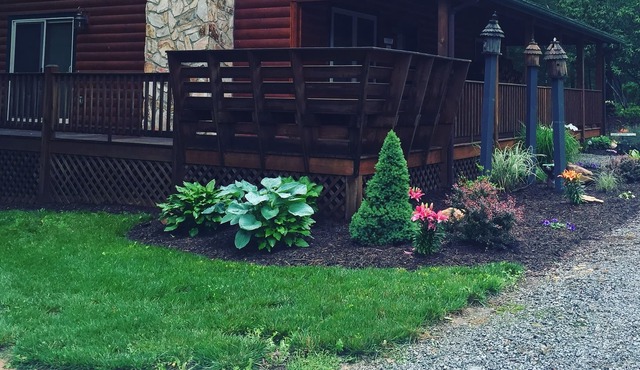 Cabin - Sparta, NC at Bear Creek - "Alegria"