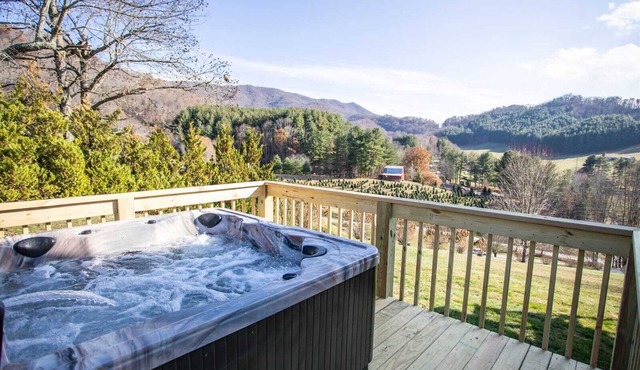 Cabin with Blue Ridge Mountain Views