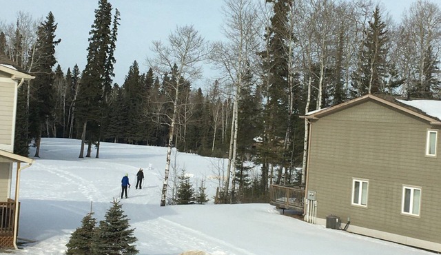 Candle Lake Townhouse backing the golf course