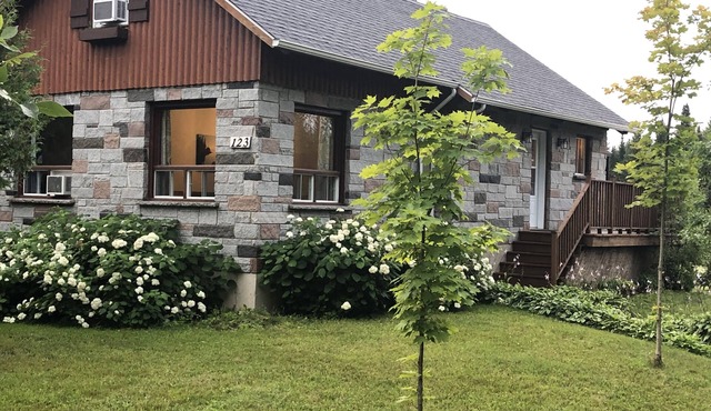 Chalet Avec SPA