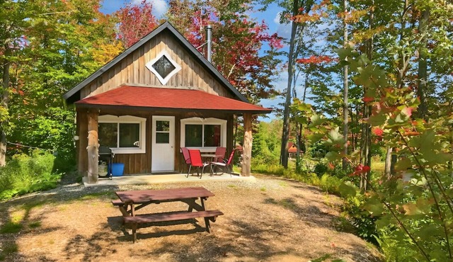Chalet L'apache Paradis Sauvage GERONIMO