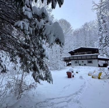 Chalet dans les arbres. 3 ch./trees house 3bdr