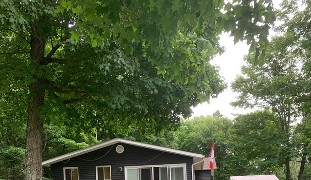 Come stay at a cozy Riverside Retreat with a beautiful sandy beach!