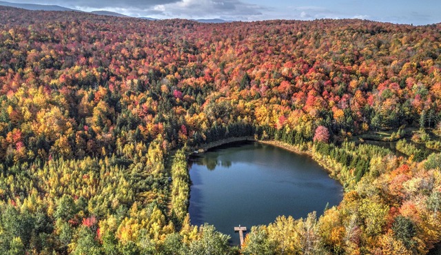 Cool & cosy retreat with private lake, paddleboard/kayaks, trails and firepit