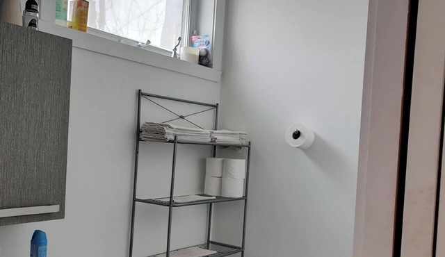 Cozy 3 levels townhouse in a vibrant Mercier Hochelega