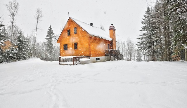 Cozy cottage with Lake View, Spa, SKI (Pet-friendly)