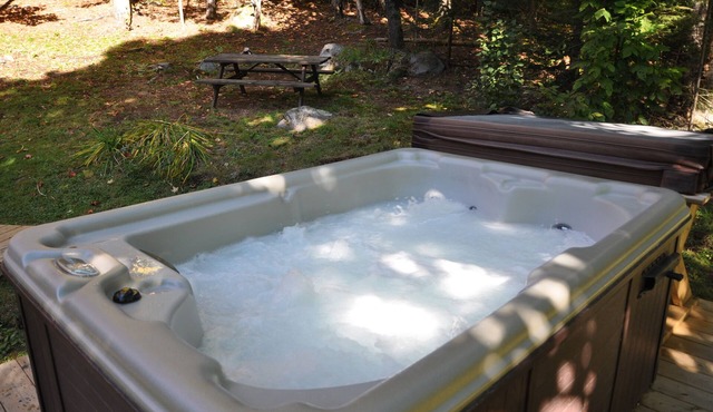 Cozy Cabin in the Woods Bordering on hiking and biking Trails citq 273674