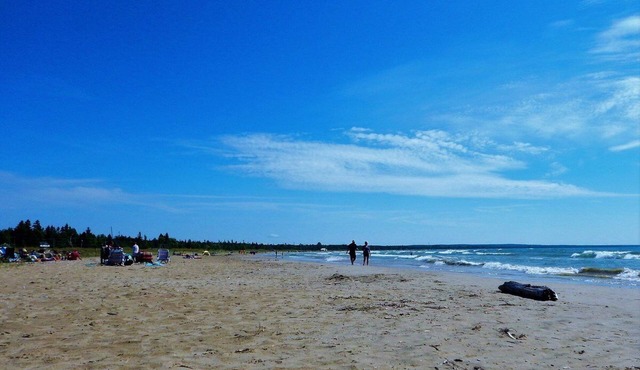 Cozy cottage in Sauble Beach - Steps to beach