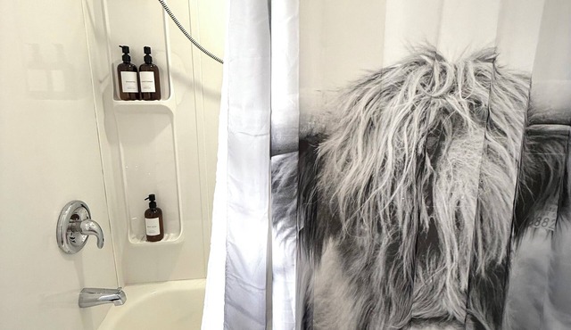 Cozy cottage minutes from the national park, trails + beaches (dog friendly!)